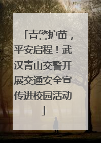 青警护苗，平安启程！武汉青山交警开展交通安全宣传进校园活动